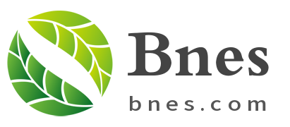 bnes.com