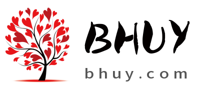 bhuy.com