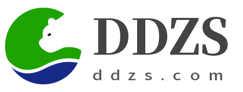 ddzs.com